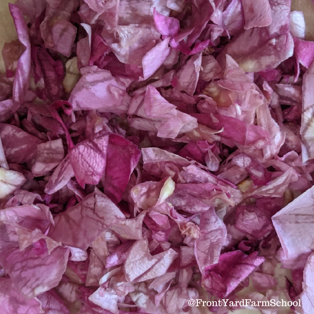 Easy Garden Recipe: Rose Petal-Infused Honey